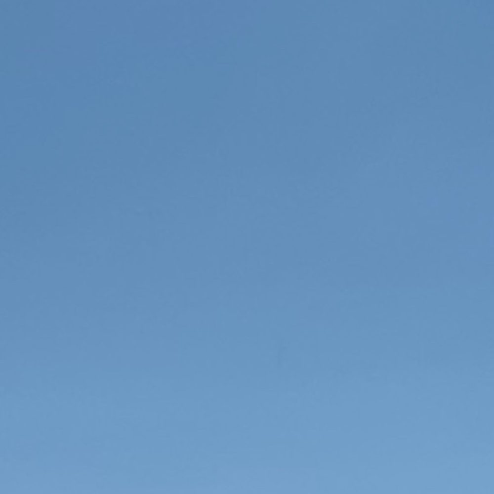 Meet your Posher, Ally